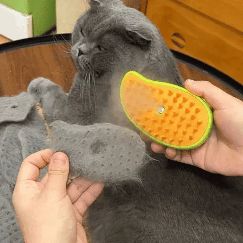 Escova a Vapor Recarregável 3 em 1 para Gatos – Limpeza Profunda e Conforto em Um Só Produto